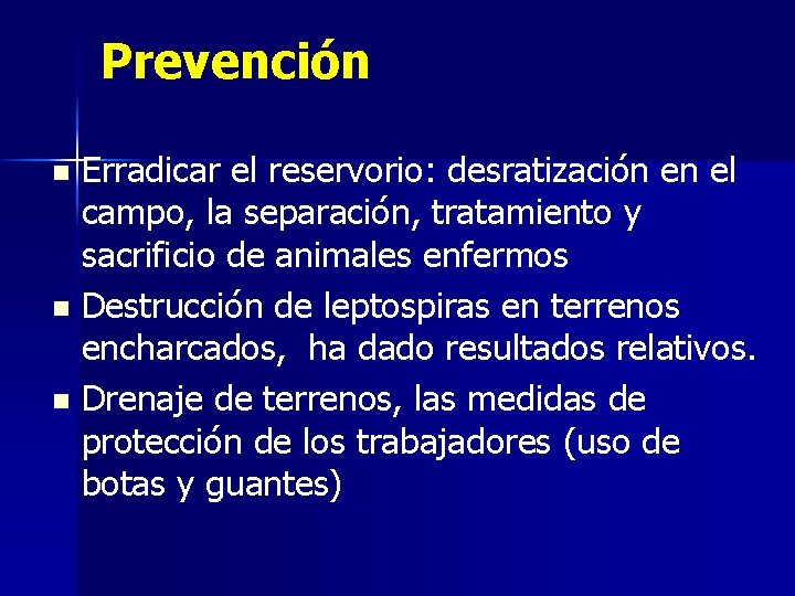 Prevención Erradicar el reservorio: desratización en el campo, la separación, tratamiento y sacrificio de