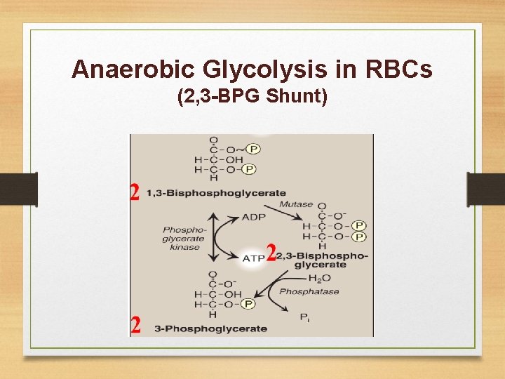 Anaerobic Glycolysis in RBCs (2, 3 -BPG Shunt) 