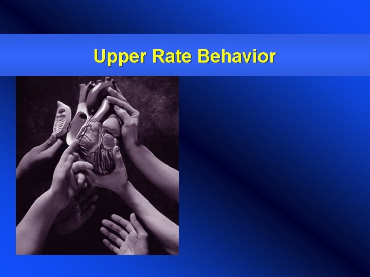 Upper Rate Behavior 