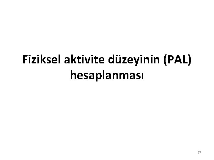 Fiziksel aktivite düzeyinin (PAL) hesaplanması 27 