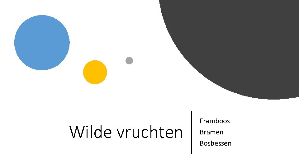 Wilde vruchten Framboos Bramen Bosbessen 