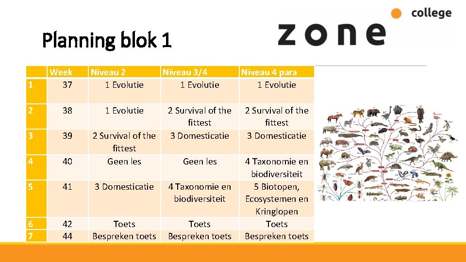 Planning blok 1 1 Week 37 Niveau 2 1 Evolutie Niveau 3/4 1 Evolutie