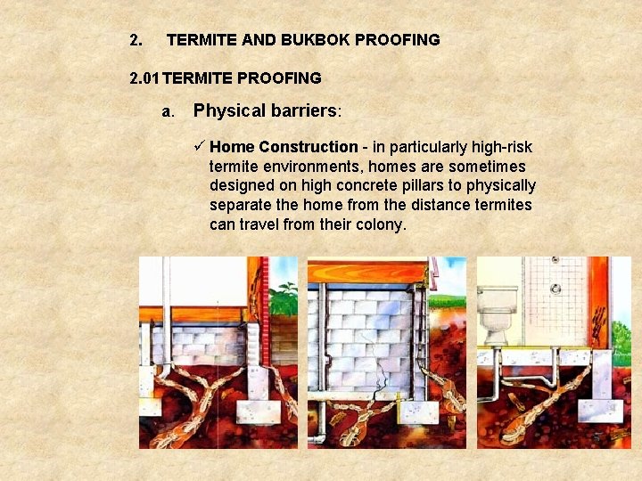 2. TERMITE AND BUKBOK PROOFING 2. 01 TERMITE PROOFING a. Physical barriers: ü Home