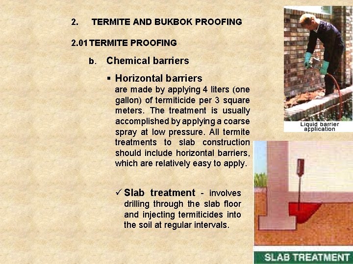 2. TERMITE AND BUKBOK PROOFING 2. 01 TERMITE PROOFING b. Chemical barriers § Horizontal