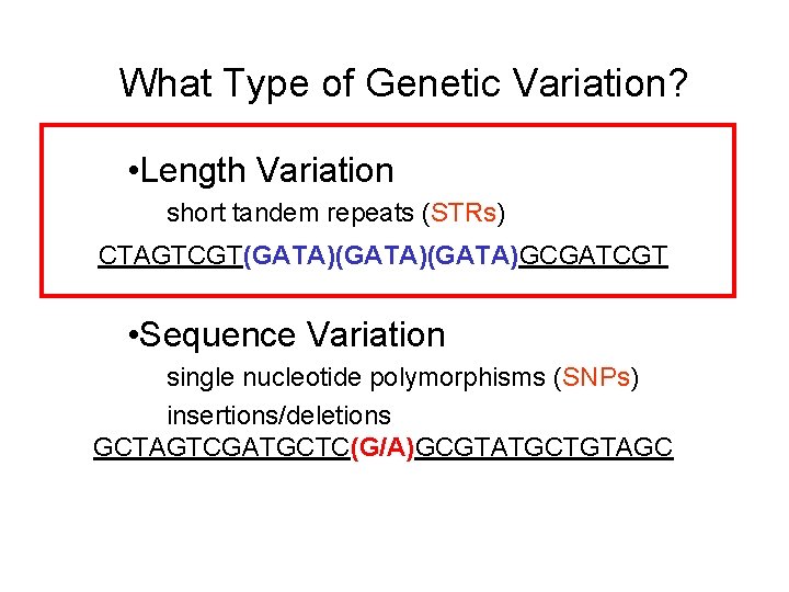 What Type of Genetic Variation? • Length Variation short tandem repeats (STRs) CTAGTCGT(GATA)(GATA)GCGATCGT •