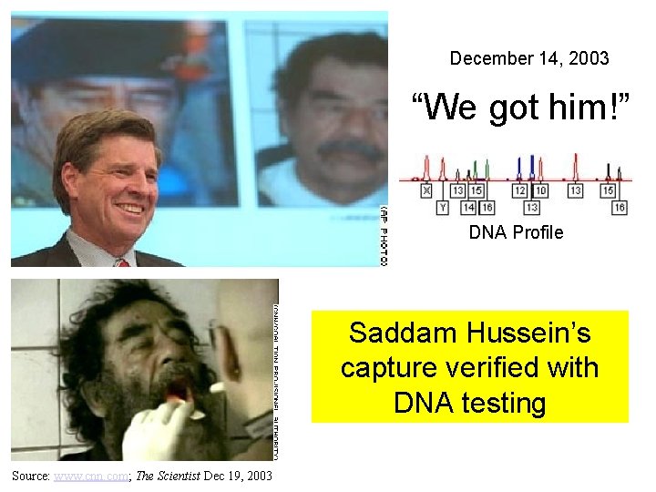 December 14, 2003 “We got him!” DNA Profile Saddam Hussein’s capture verified with DNA