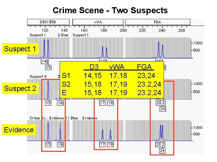 Crime Scene - Two Suspects Suspect 1 Suspect 2 Evidence S 1 S 2