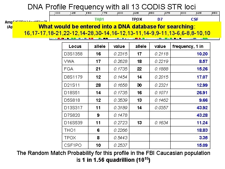 DNA Profile Frequency with all 13 CODIS STR loci TH 01 TPOX D 7