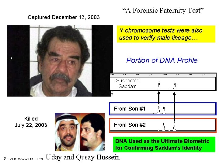“A Forensic Paternity Test” Captured December 13, 2003 Y-chromosome tests were also used to