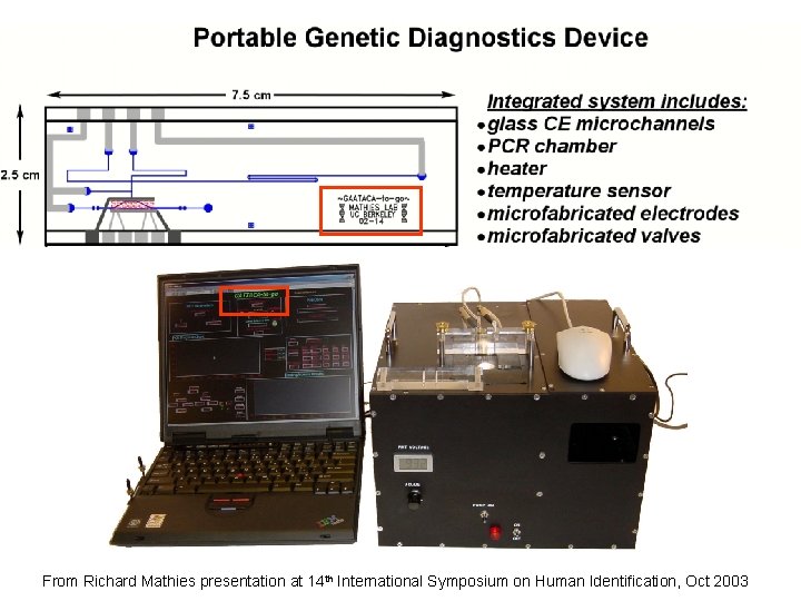 From Richard Mathies presentation at 14 th International Symposium on Human Identification, Oct 2003