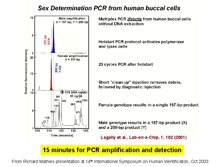 Lagally et al. , Lab-on-a-Chip, 1, 102 (2001) 15 minutes for PCR amplification and