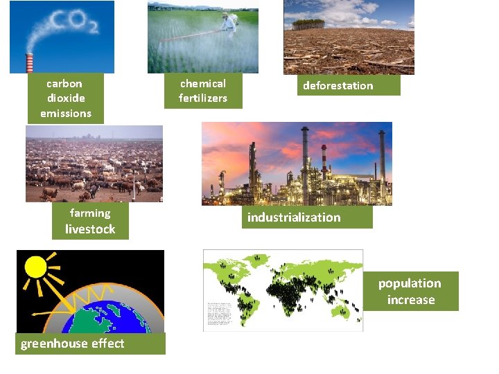 carbon dioxide emissions farming livestock chemical fertilizers deforestation industrialization population increase greenhouse effect 