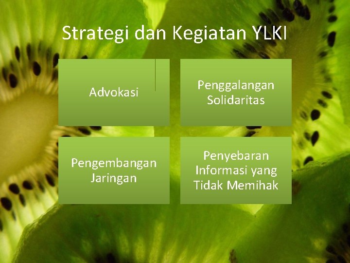 Strategi dan Kegiatan YLKI Advokasi Penggalangan Solidaritas Pengembangan Jaringan Penyebaran Informasi yang Tidak Memihak