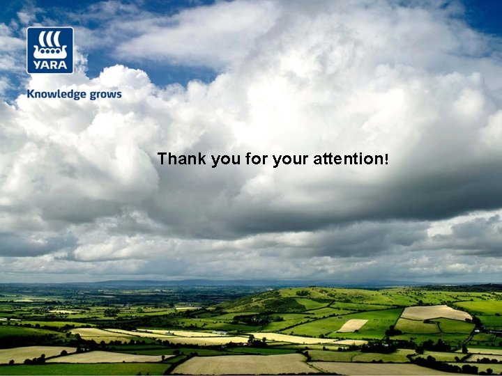 Thank you for your attention! 