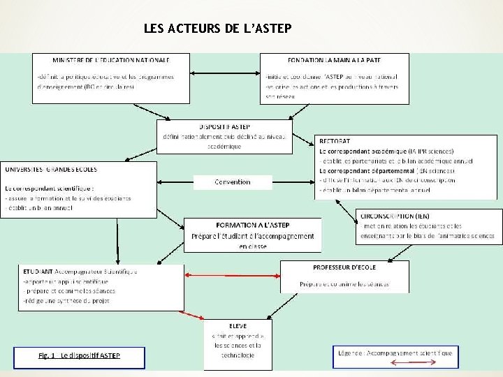 LES ACTEURS DE L’ASTEP 