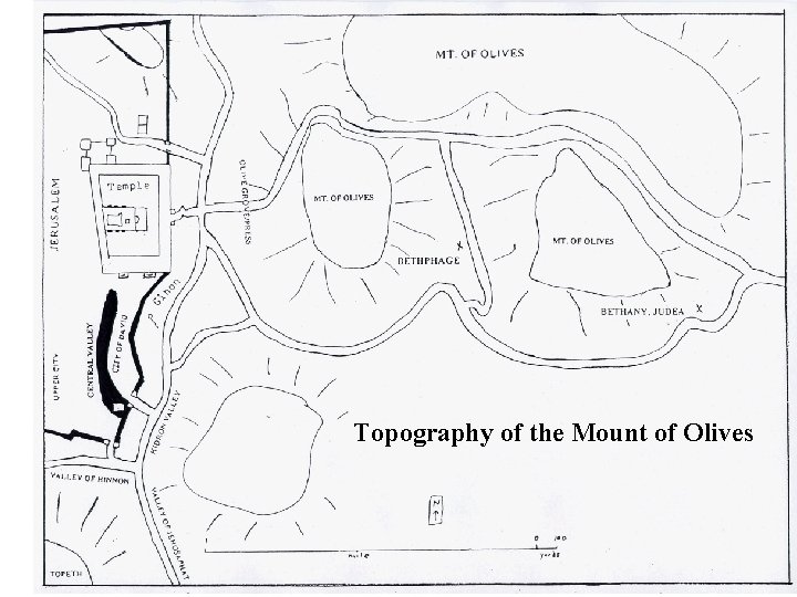 Topography of the Mount of Olives 