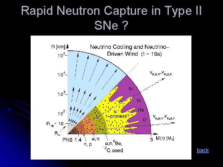 Rapid Neutron Capture in Type II SNe ? back 