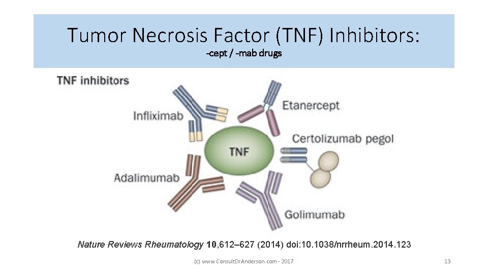 Tumor Necrosis Factor (TNF) Inhibitors: -cept / -mab drugs Nature Reviews Rheumatology 10, 612–