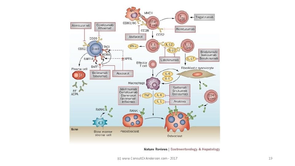 (c) www. Consult. Dr. Anderson. com - 2017 19 