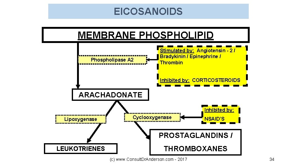 EICOSANOIDS MEMBRANE PHOSPHOLIPID Phospholipase A 2 Stimulated by: Angiotensin - 2 / Bradykinin /