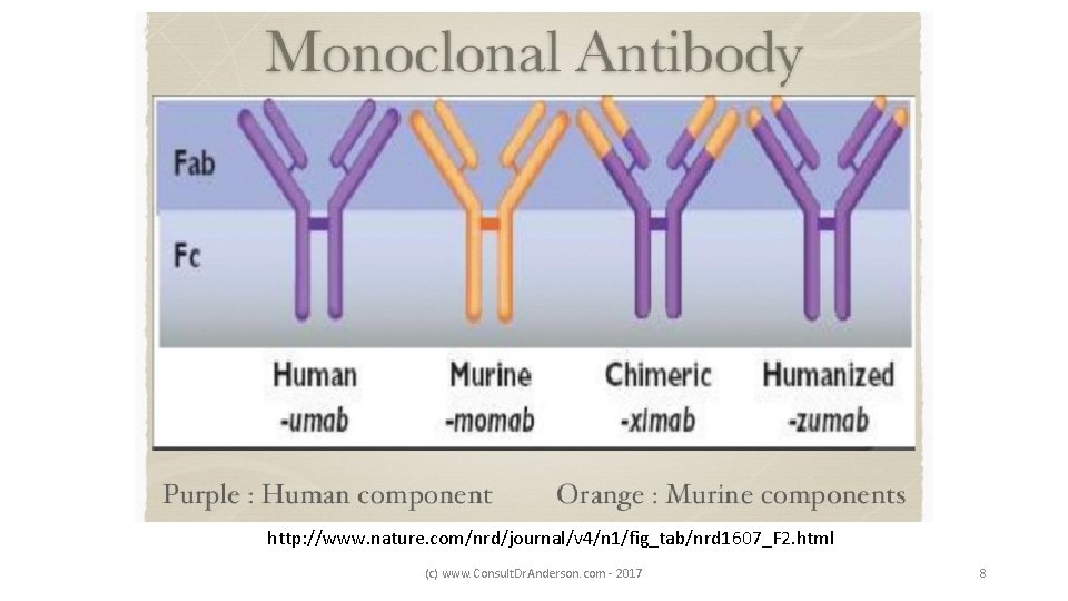 http: //www. nature. com/nrd/journal/v 4/n 1/fig_tab/nrd 1607_F 2. html (c) www. Consult. Dr. Anderson.