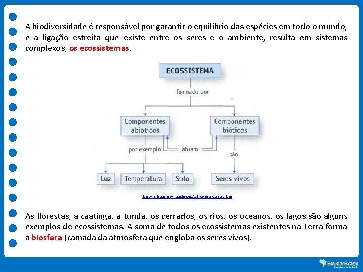 A biodiversidade é responsável por garantir o equilíbrio das espécies em todo o mundo,