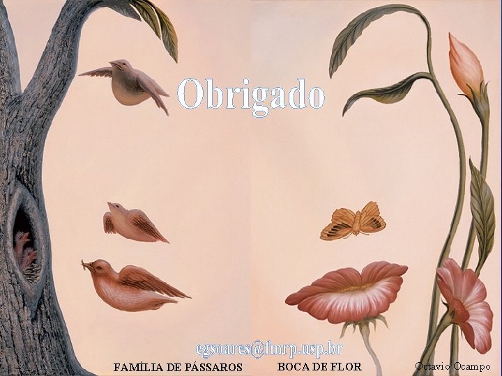 FAMÍLIA DE PÁSSAROS BOCA DE FLOR Octavio Ocampo 