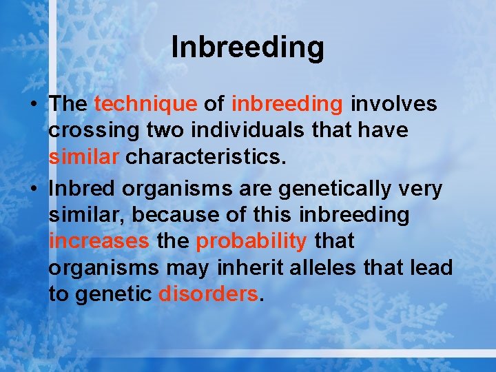 Inbreeding • The technique of inbreeding involves crossing two individuals that have similar characteristics.