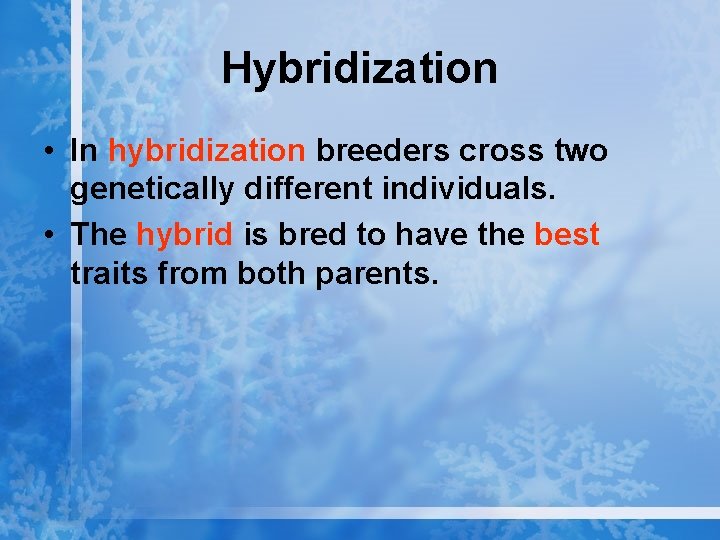 Hybridization • In hybridization breeders cross two genetically different individuals. • The hybrid is