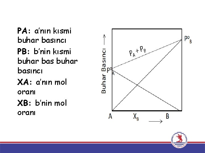 PA: a’nın kısmi buhar basıncı PB: b’nin kısmi buhar basıncı XA: a’nın mol oranı