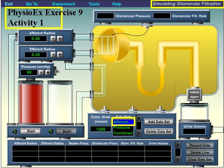 Physio. Ex Exercise 9 Activity 1 