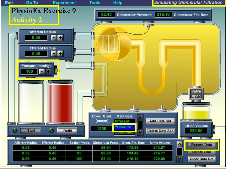 Physio. Ex Exercise 9 Activity 2 