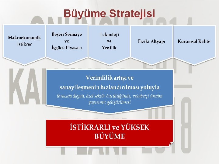 Büyüme Stratejisi 