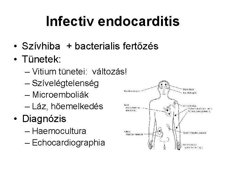 Infectiv endocarditis • Szívhiba + bacterialis fertőzés • Tünetek: – Vitium tünetei: változás! –