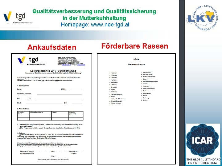 Qualitätsverbesserung und Qualitätssicherung in der Mutterkuhhaltung Homepage: www. noe-tgd. at Ankaufsdaten Förderbare Rassen 