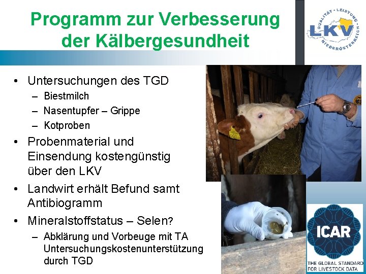 Programm zur Verbesserung der Kälbergesundheit • Untersuchungen des TGD – Biestmilch – Nasentupfer –