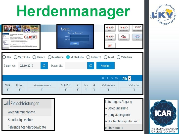 Herdenmanager 