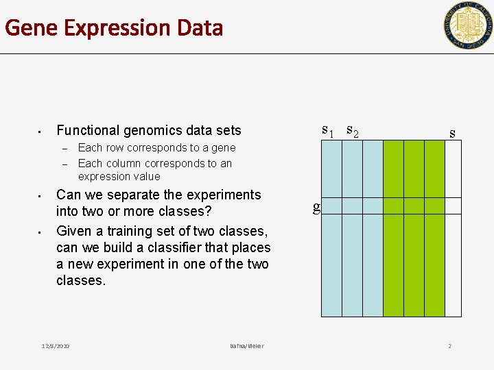 Gene Expression Data • – – • • s 1 s 2 Functional genomics