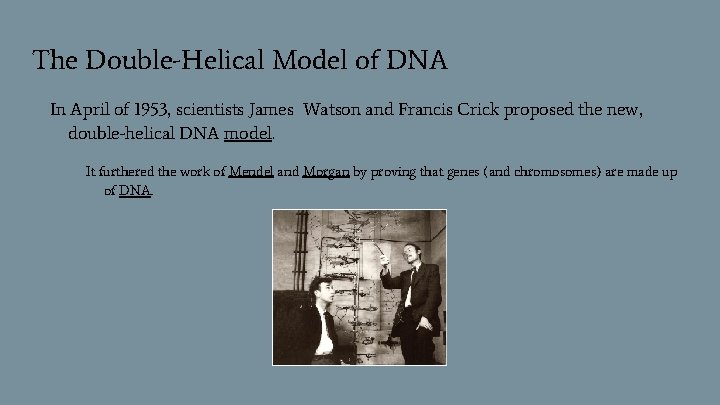 The Double-Helical Model of DNA In April of 1953, scientists James Watson and Francis