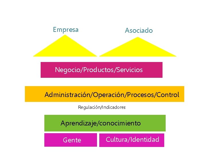 Empresa Asociado Negocio/Productos/Servicios Administración/Operación/Procesos/Control Regulación/Indicadores Aprendizaje/conocimiento Gente Cultura/Identidad 