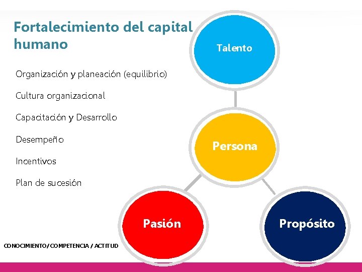 Fortalecimiento del capital humano Talento Organización y planeación (equilibrio) Cultura organizacional Capacitación y Desarrollo