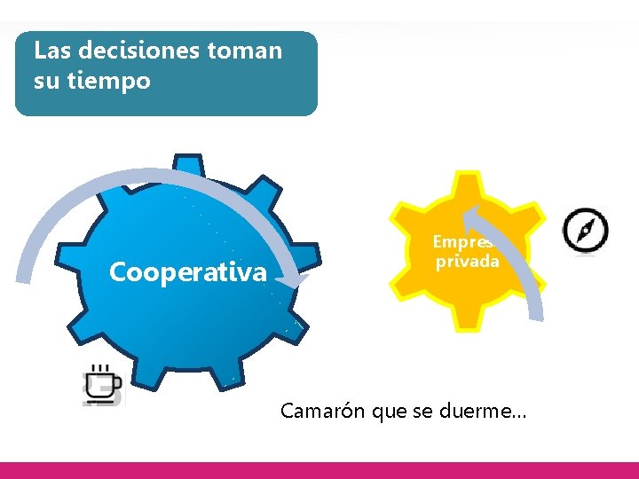 Las decisiones toman su tiempo Cooperativa Empresa privada Camarón que se duerme… 