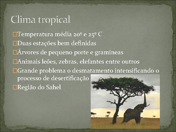 Clima tropical �Temperatura média 20º e 25º C �Duas estações bem definidas �Árvores de