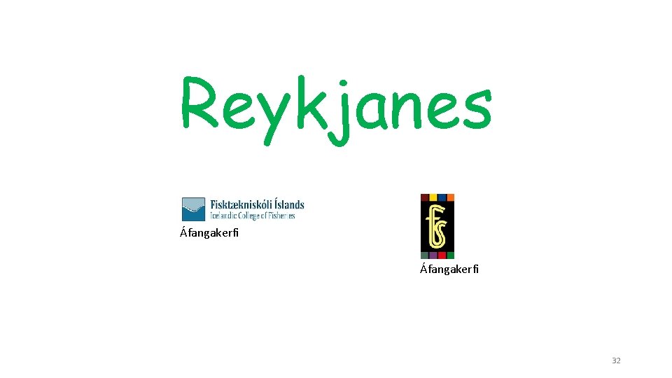 Reykjanes Áfangakerfi 32 