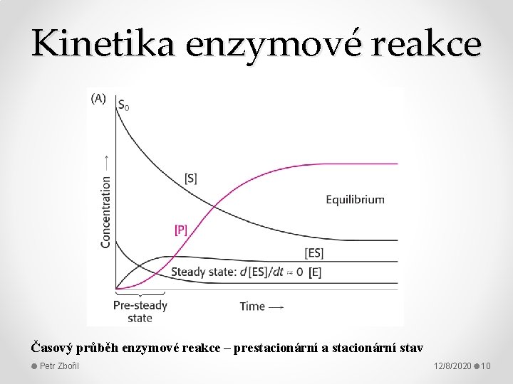 Kinetika enzymové reakce Časový průběh enzymové reakce – prestacionární a stacionární stav Petr Zbořil