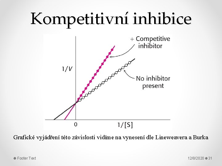 Kompetitivní inhibice Grafické vyjádření této závislosti vidíme na vynesení dle Lineweavera a Burka Footer