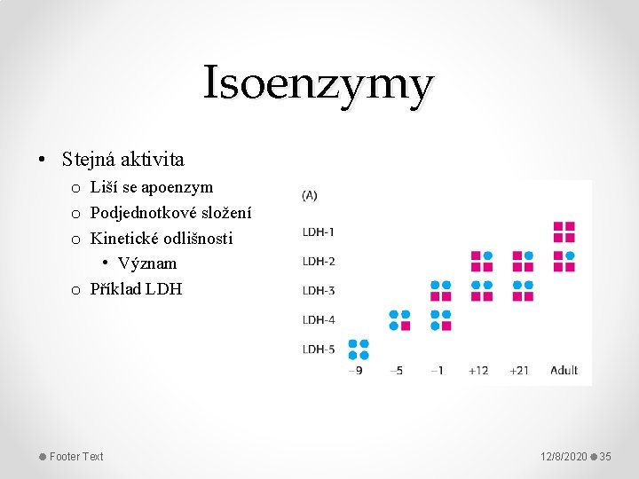 Isoenzymy • Stejná aktivita o Liší se apoenzym o Podjednotkové složení o Kinetické odlišnosti