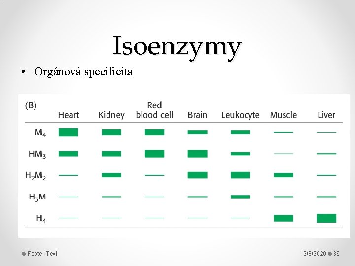 Isoenzymy • Orgánová specificita Footer Text 12/8/2020 36 