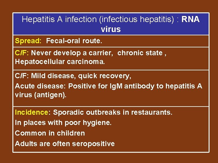 Hepatitis A infection (infectious hepatitis) : RNA virus Spread: Fecal-oral route. C/F: Never develop