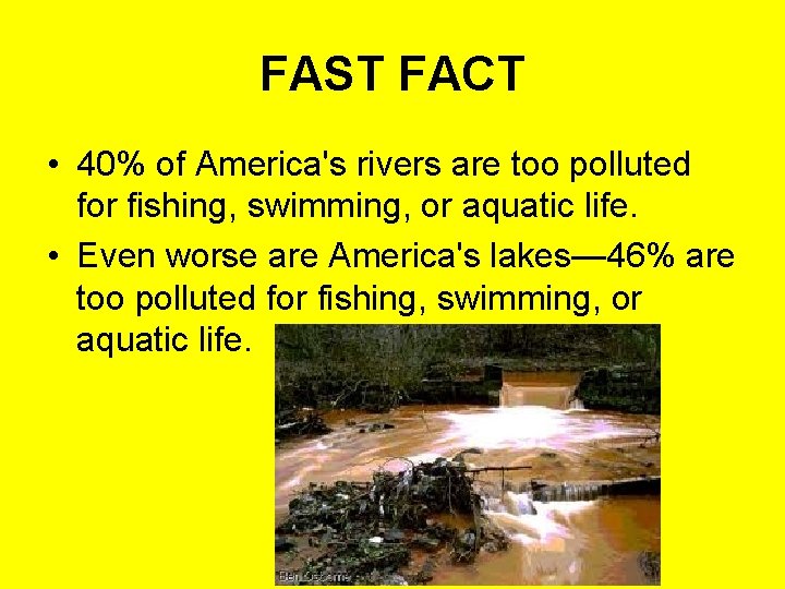 FAST FACT • 40% of America's rivers are too polluted for fishing, swimming, or